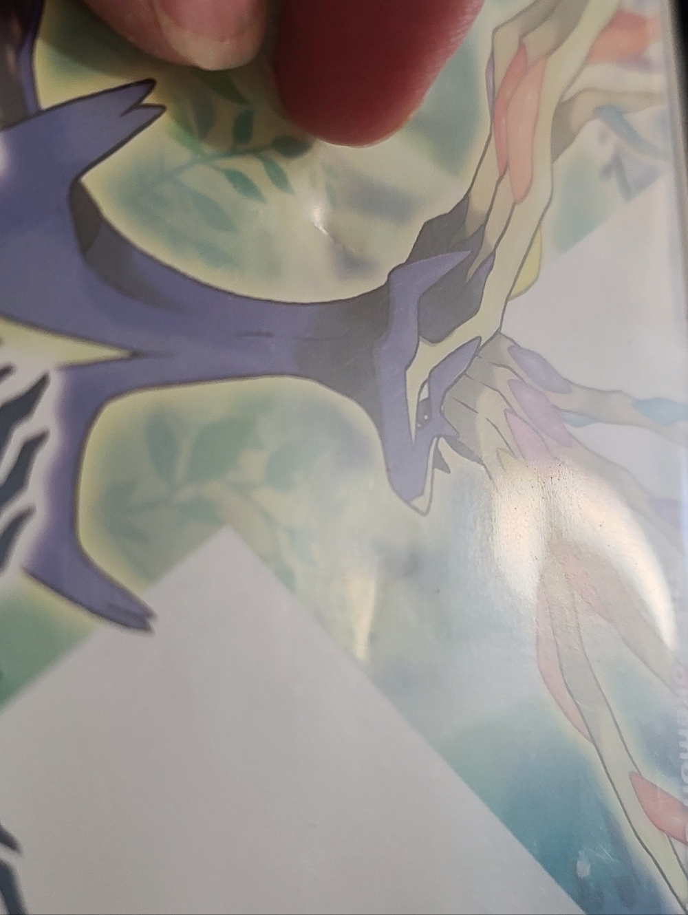 Nintendo Pokémon X  Nintendo 3DS Case And Manual Only, NO Game - Picture 4 of 4